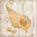 Saint Tropez Shells I