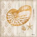 Saint Tropez Shells III