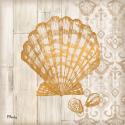 Saint Tropez Shells IV