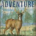 Adventure Lodge I