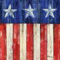 All American Flag IV