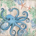 Clearwater Sealife I