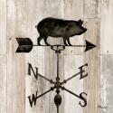 Wrought Iron Vanes I