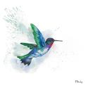 Arianna Hummingbird I