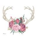 Horned Elegance II