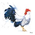 Arianna Rooster I