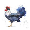 Arianna Rooster II