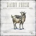 Farmhouse Fresh III