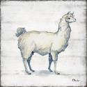 Farmhouse Llama I
