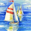 Cape Sailboats I