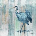 Arianna Blue Heron