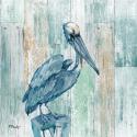 Arianna Pelican