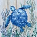 Navarre Sealife I