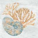 Shimmering Shells I