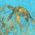 Cedar Key Turtle II