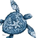 Nassau Sealife I