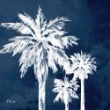 Cyano Palms I