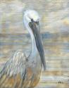 Golden Salty Pelican