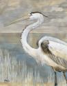 Golden River Heron