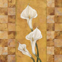 Flora del Rey II