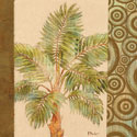 Parlor Palm II