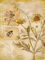 Flora Bumble Bee
