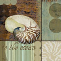 Contemporary Shell II