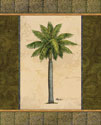 East Indies Palm II