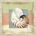 Montego Nautilus