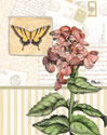 Botanical Collage I