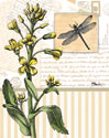 Botanical Collage II