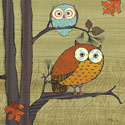 Awesome Owls I