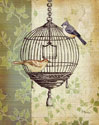Botanical Birdcage I