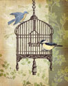 Botanical Birdcage II