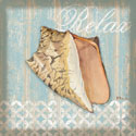 Spa Shells II
