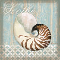 Spa Shells III