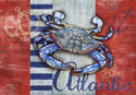 Maritime Crab