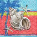 Pacific Shells I