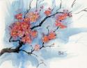 Cherry Blossoms I