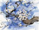 Cherry Blossoms II