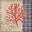 Burlap Coral II
