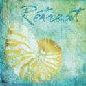 Caribbean Shells I