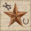 Bandana Barn Star IV