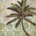 Delray Palm II