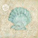 Laguna Shells I