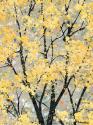 Early Spring I