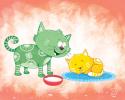 Kitty Koo