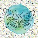 Butterflies Blue