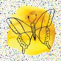 Butterflies Yellow