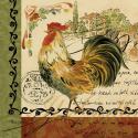 Viva Italia Rooster IV